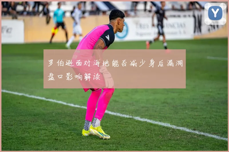 罗伯逊面对海地能否减少身后漏洞盘口影响解读
